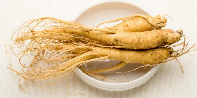 cay-hong-sam-cong-nghe-glossy-facial